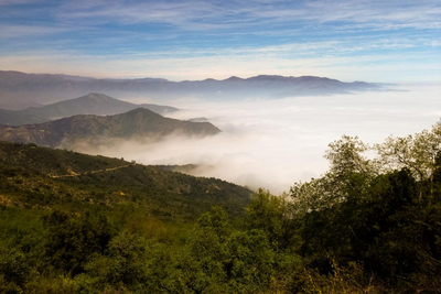 Chile Privatreise, La Serena Nationalpark, Nebenwald, Oase