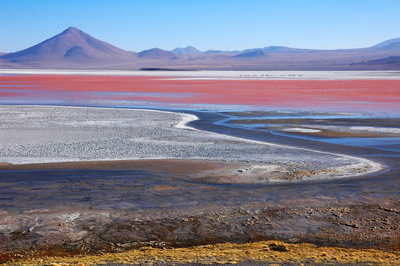 Laguna Colorado, Salar de Uyuni, Bolivien