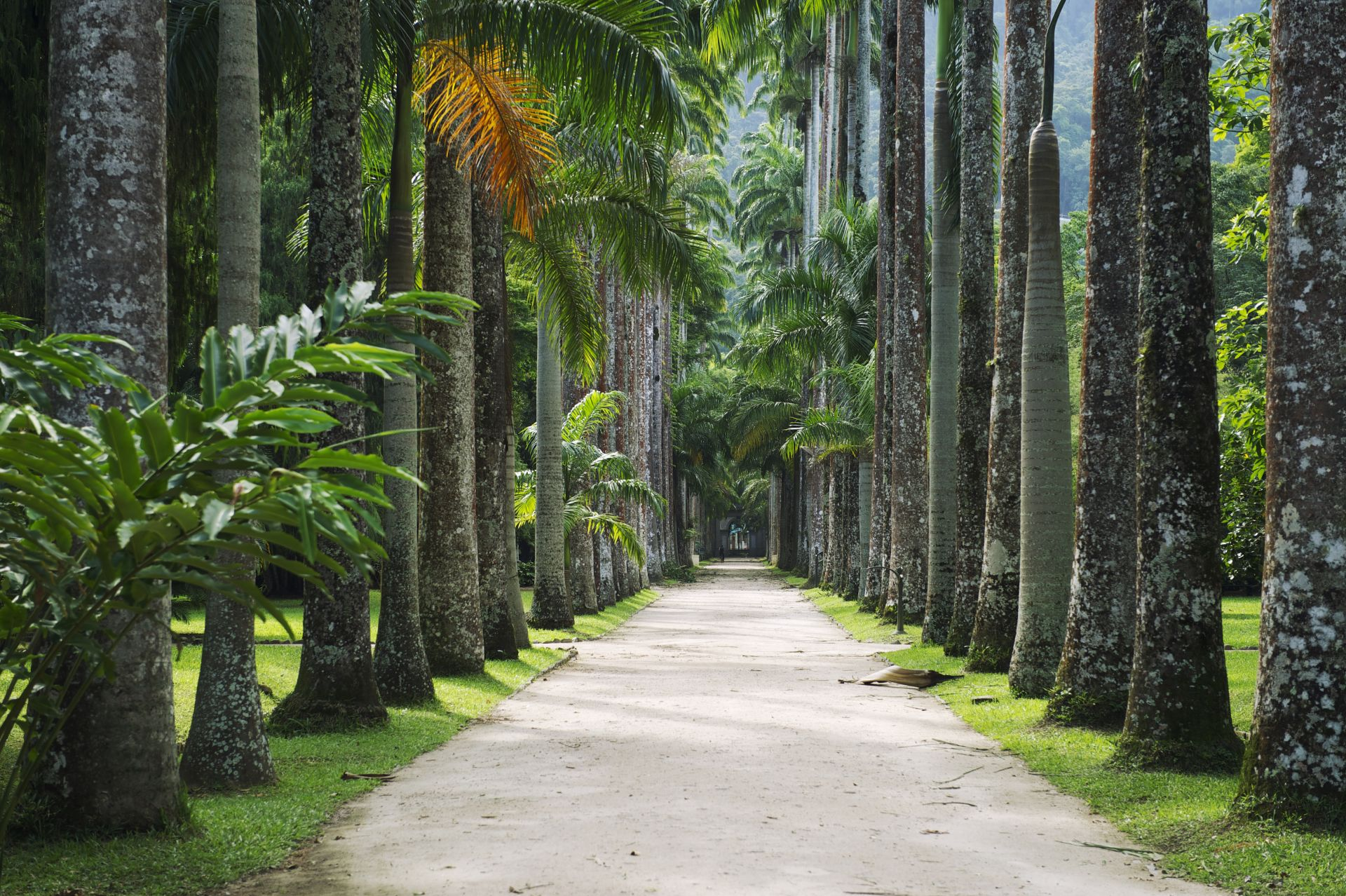 Jardim Botânico, Rio de Janeiro