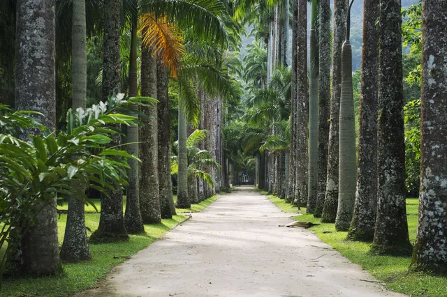 Jardim Botânico, Rio de Janeiro