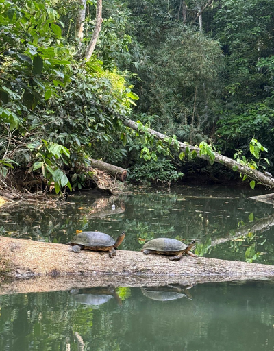 Kayak-Tour, Aguas Claras, Costa Rica