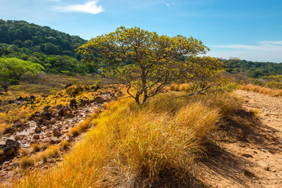 Nationalpark Rincon de la Vieja, Costa Rica Reisen