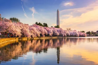Washington Monument, Washington D.C., USA Zugreise