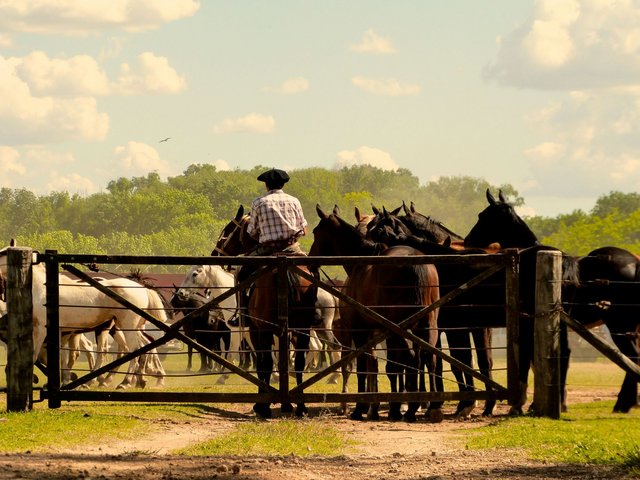 Gaucho San Antonia de Areco, Argentinien Reise, maßgeschneiderte Argentinien Rundreise