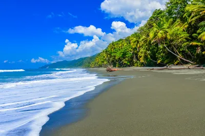 Costa Rica: Wilder Strand im Corcovado-Nationalpark