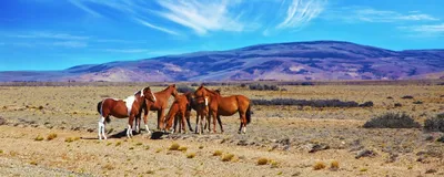 Rundreise Argentinien, Argentinische Pampa, Luxusreise Argentinien