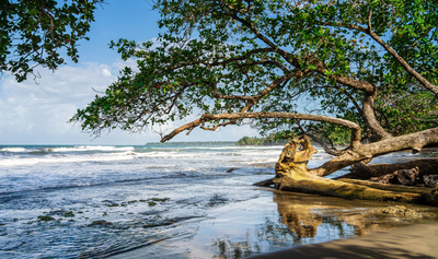 Cahuita Nationalpark, Strand