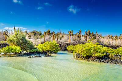 Galapagos Reisen, Insel Hopping, Ecuador, Flora, Fauna, Meer, América Special Tours