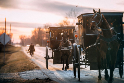 Amish Pferdekutschen, USA Great Lakes Reise