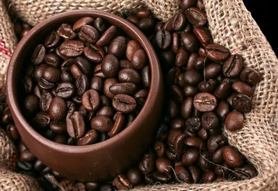 Kaffeebohnen, Barichara, Kolumbien Reise
