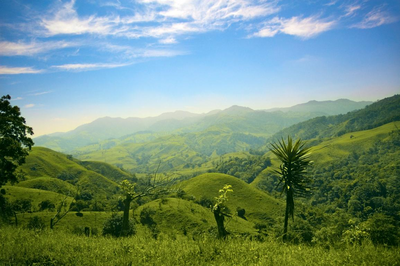Naturreise Costa Rica, Dschungel, Natur