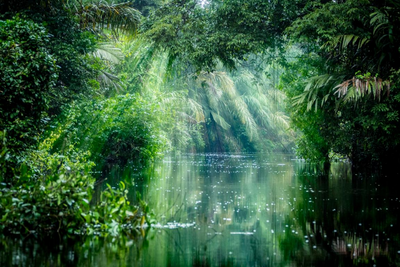Kanutour, Nationalpark Tortuguero, Rundreise Costa Rica 