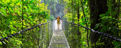 Dschungel, Wanderung, Costa Rica