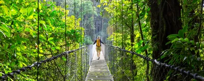 Dschungel, Wanderung, Costa Rica