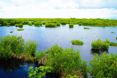 Ten Thousand Islands,Haus Maverick, Florida Mietwagenreise, USA Reise