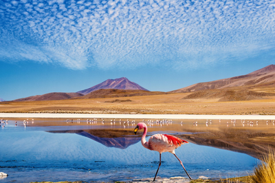Lagune Hedionda, Bolivien Rundreise