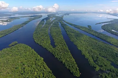 Anavilhanas Archipel, Amazonas, Brasilien Rundreise