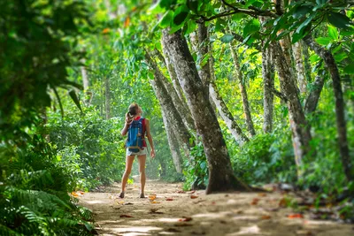 Costa Rica: Wandern im Regenwald