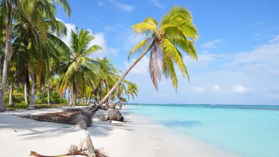 Insel im San Blas Archipel, Panama Reisen, Luxusreisen