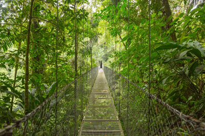 Hängebrücke, Arenal Nationalpark, Rundreise Costa Rica 