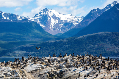 Privatrundreise Chile, Beagle Kanal, América Special Tours