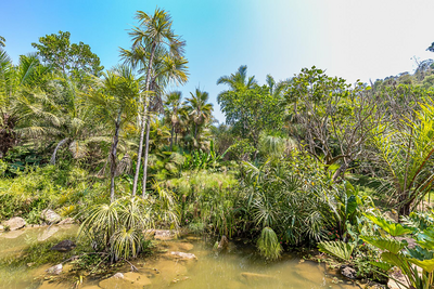 Kunstreisen, Botanischer Garten Ihotim, Brasilien, Individuell