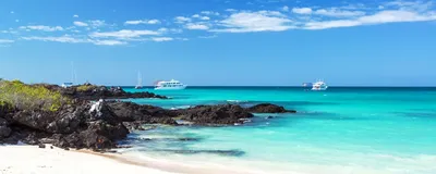 Rundreise Ecuador und Galapagos, Santa Cruz, Naturreise
