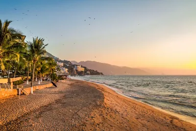 Strand in Puerto Vallarta, Mexiko Kulinarikreise