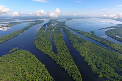 Anavilhanas Archipel, Amazonas, Best of Brasilien Reise