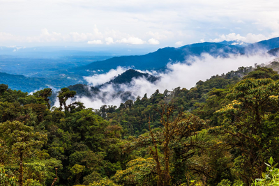 Ecuador Privatreise, Nebelwald, Abenteuer, Natur, Baumwipfel Fahrt