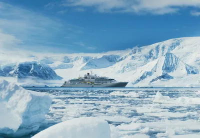Antarktis, Silver Endeavour, Copyright © Silversea