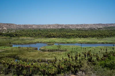 Canon de la Zorra, Baja California Sur, Mexiko