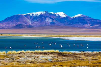 Privatreise Chile, Salar de Atacama, Vulkane, Wüste, Natur, Flamingos
