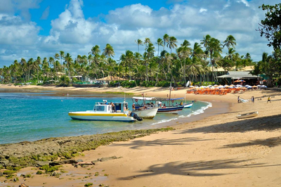 Brasilien Privatreise, Praia do Forte, Meeresschildkröte, Strandspaziergang, Guarajuba