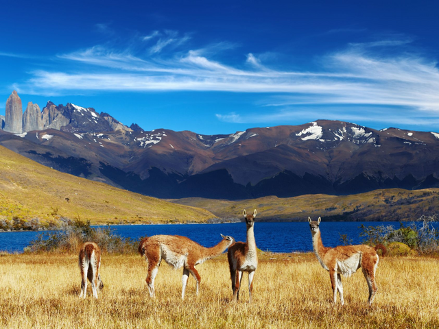 Patagonien Individualreise, Chile, Torres del Paine