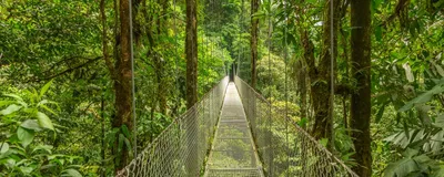Rundreise Costa Rica, Hängebrücke im Dschungel