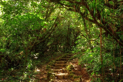 Nebelwald, Vulkan Mombacho, Nicaragua Reise, Mittelamerika