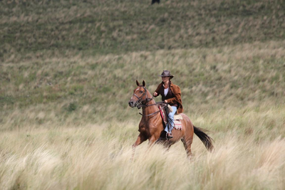 Argentinien Privatreise, Gaucho, Pferde