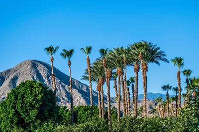 San Jancinto Mountain, Palm Springs, Kalifornien, USA Westküste Mietwagenreise