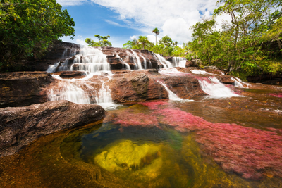 Cano Cristales, Kolumbien