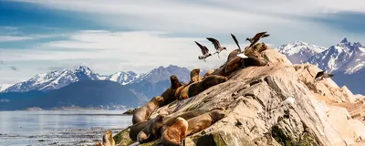 Individualrundreise Chile mit Améria Special Tours ans Kap Hoorn