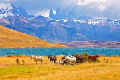 Torres del Paine, Chile Rundreise, Patagonien