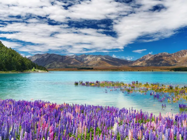 Lake Tekapo, Neuseeland Rundreise