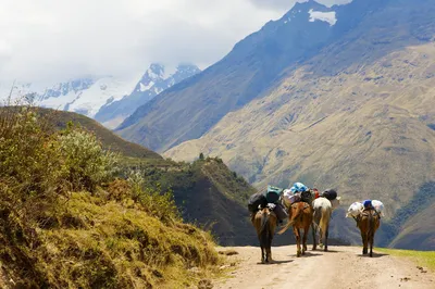 Salkantay Pass, Peru Individualreise