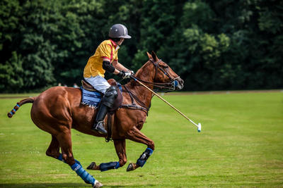 Polospiel, Argentinien Privatreise